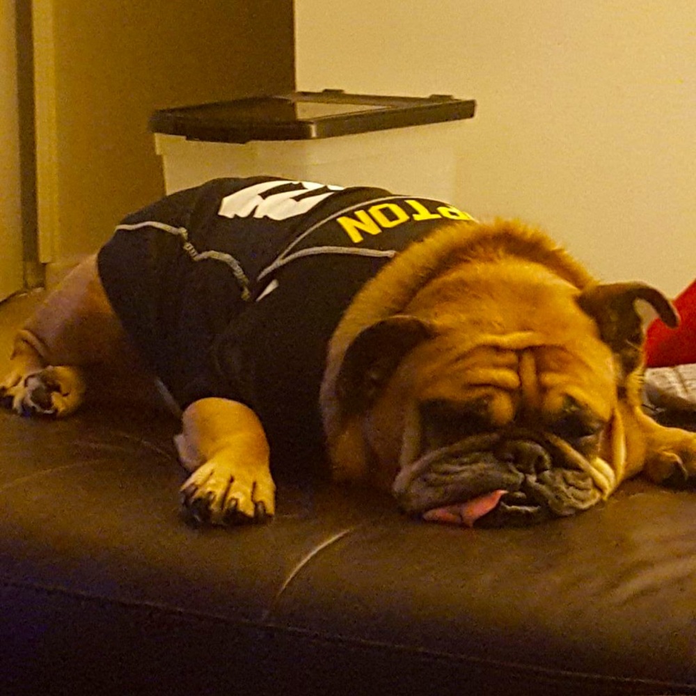 Meet your Posher, Jen